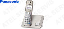 Panasonic KX-TGE210FXN